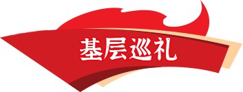 虎博搜索活动入口教师
