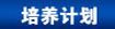 虎博搜索